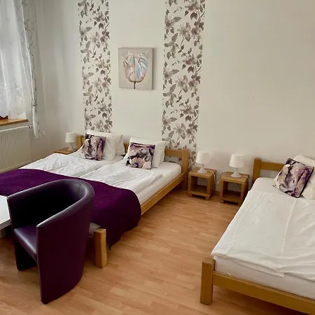 U Vlčků Penzion 3*